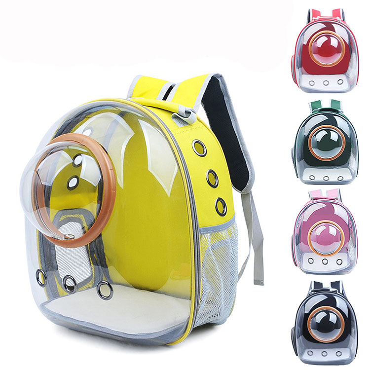 Quais recursos uma bolsa de estimação precisa ser útil?
